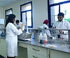 FUE Pharmaceutical Factory