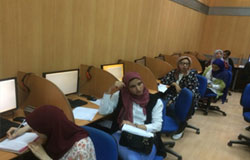 Workshop about the Electronic Library