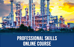 SPE FUE SC Professional Skills online course